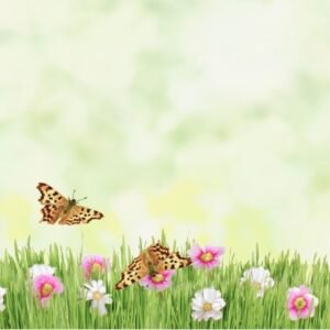 Canalización - Tarot evolutivo - Mediumnidad